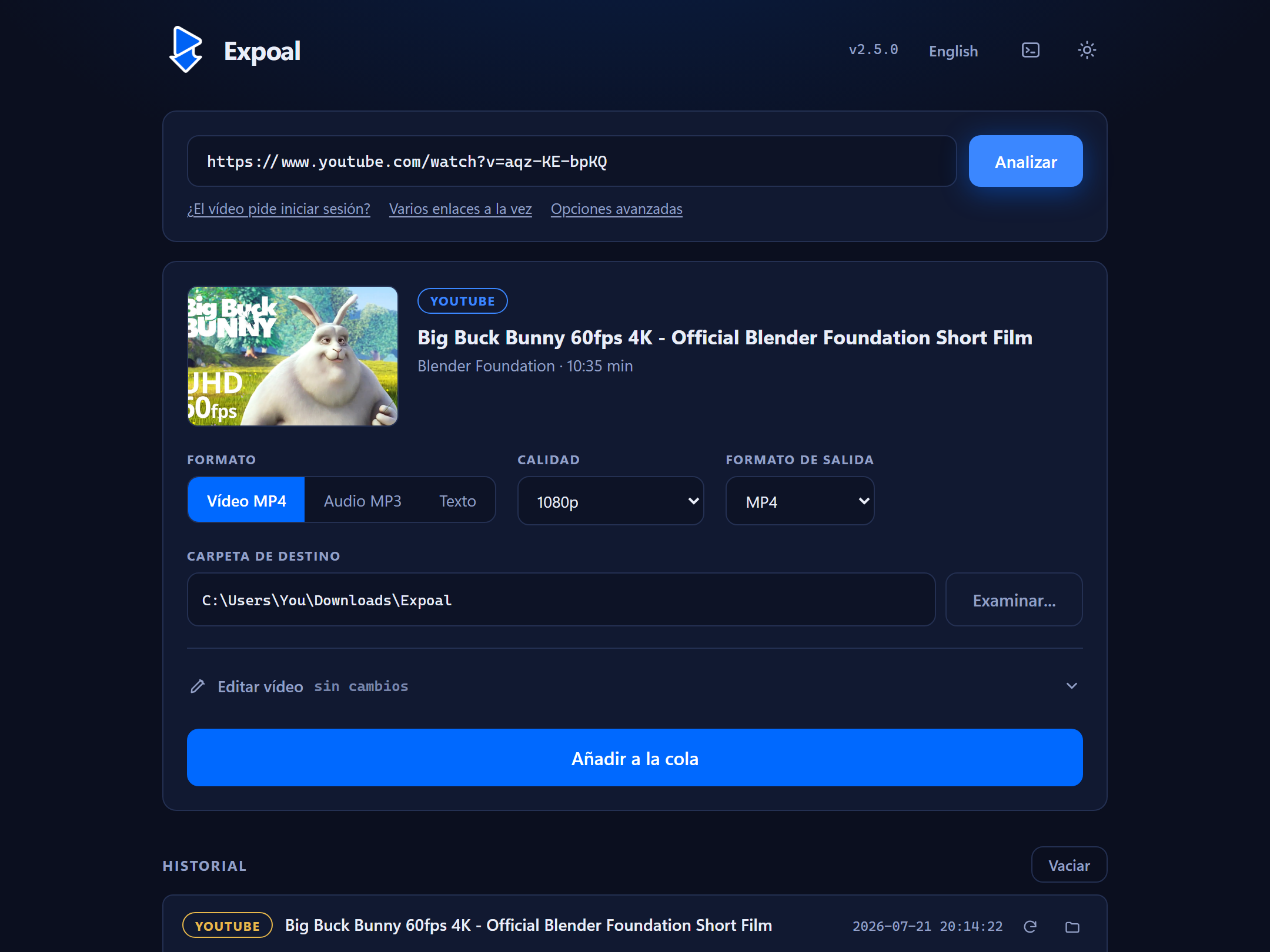 Expoal con un enlace pegado, el vídeo listo para descargar y el historial debajo